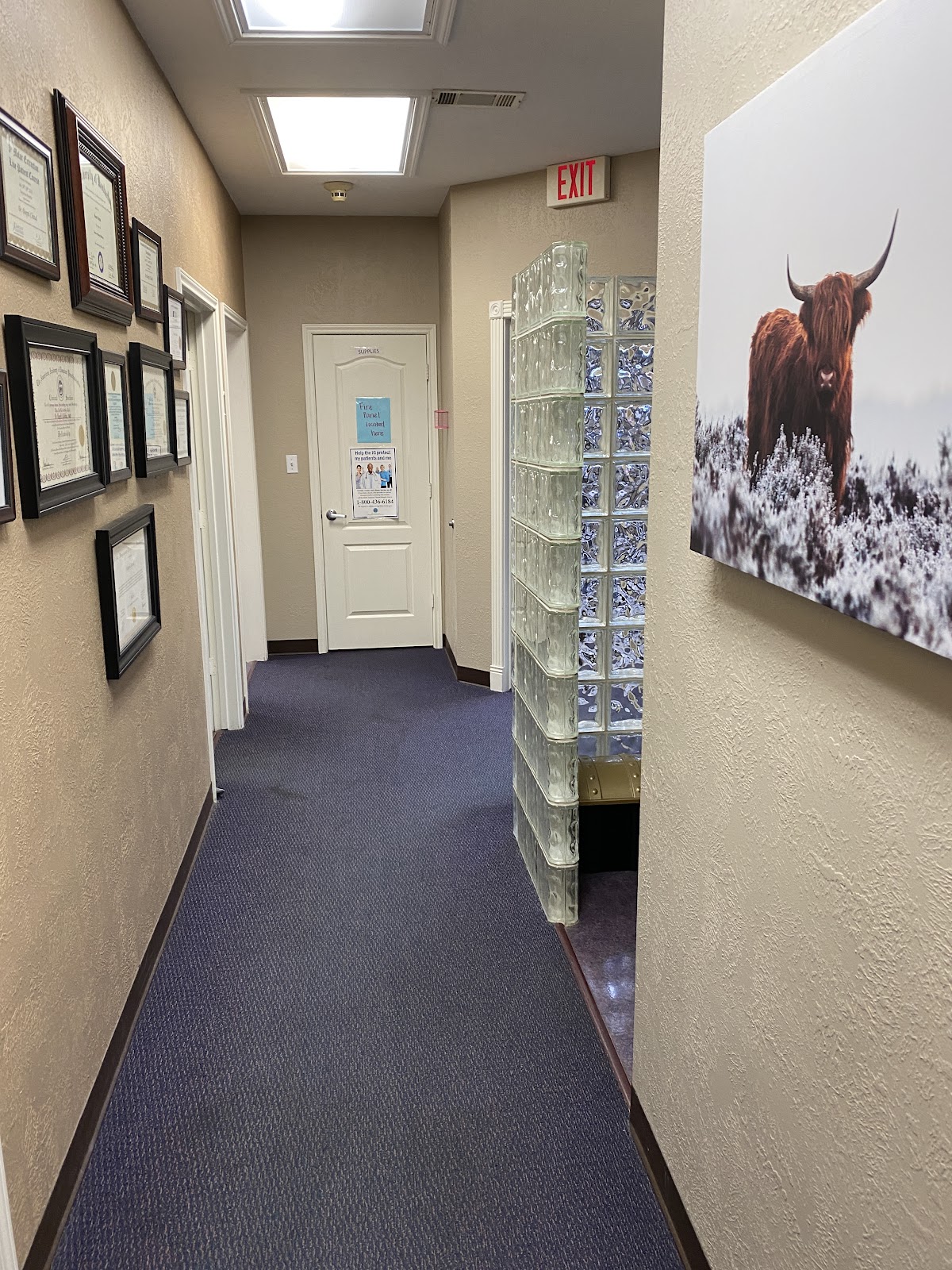 Premier Dental Care photo 2