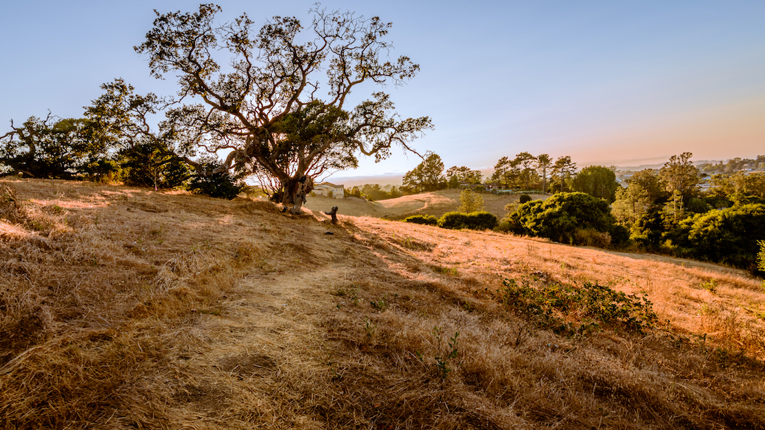 Oakhill Dentistry photo 1