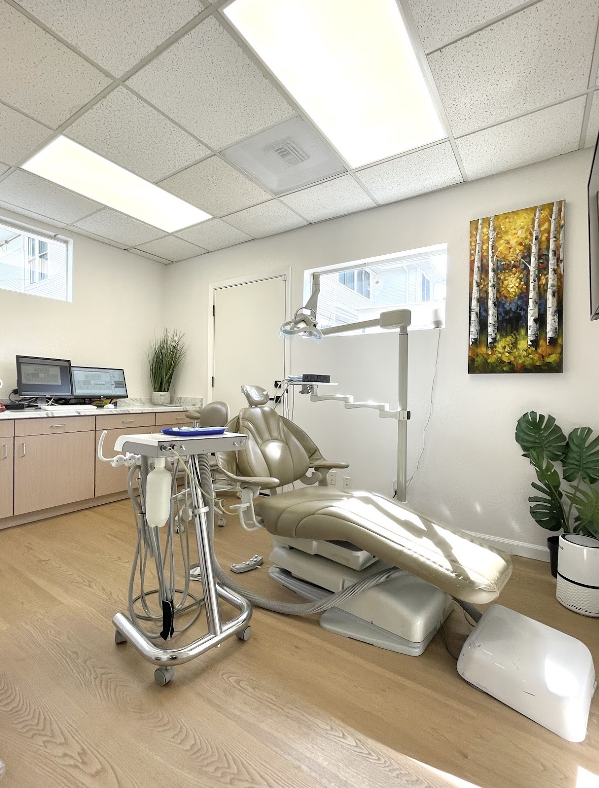 Great Care Dental 大愛牙醫 photo 2