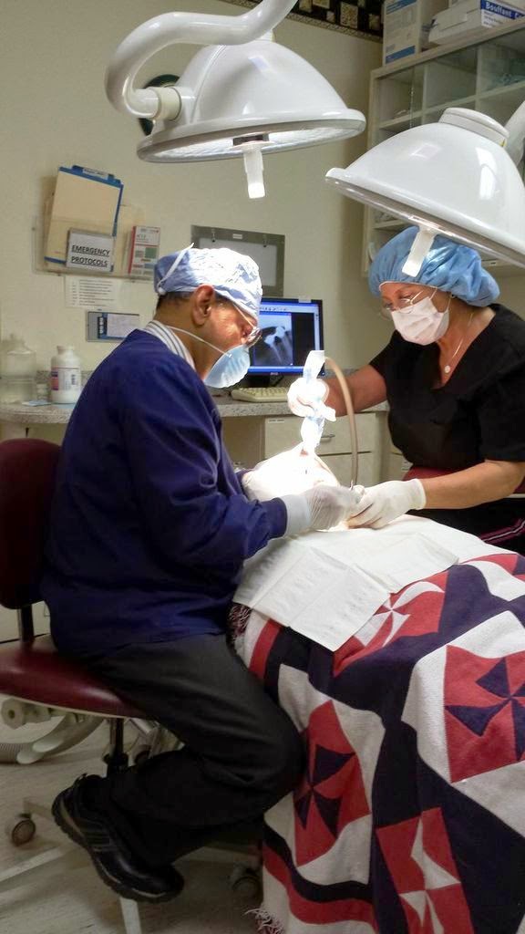 Eastlake Center for Implants and Restorative Dentistry photo 6