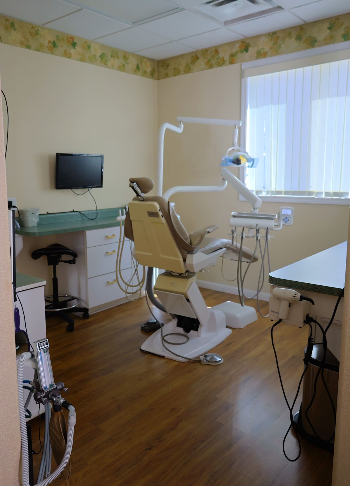 Dr. Teeth - Dr. Alison Defilippi photo 2