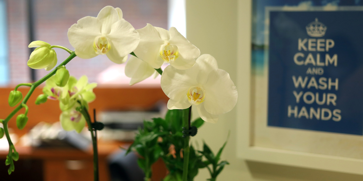 Pacific Smiles Dental Implant Center photo 5