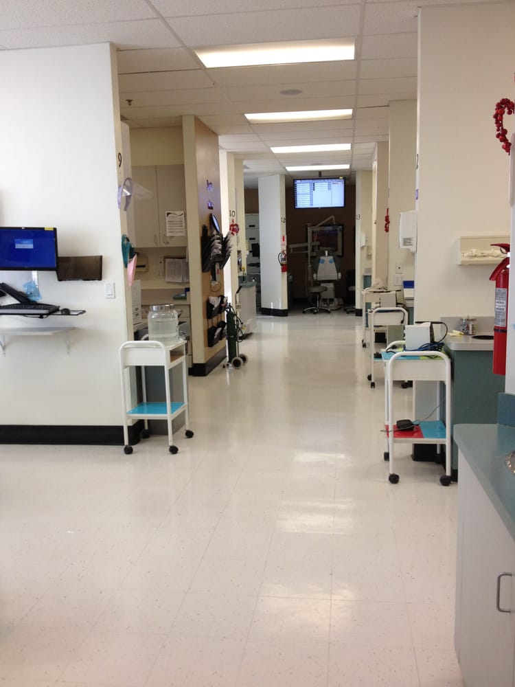 Western Dental & Orthodontics photo 3