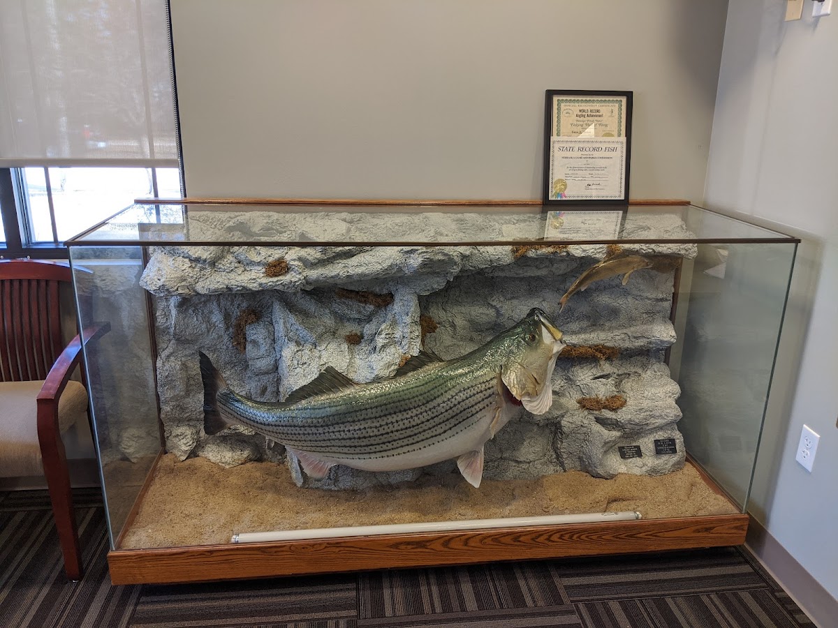 Baker Larry L MD photo 2