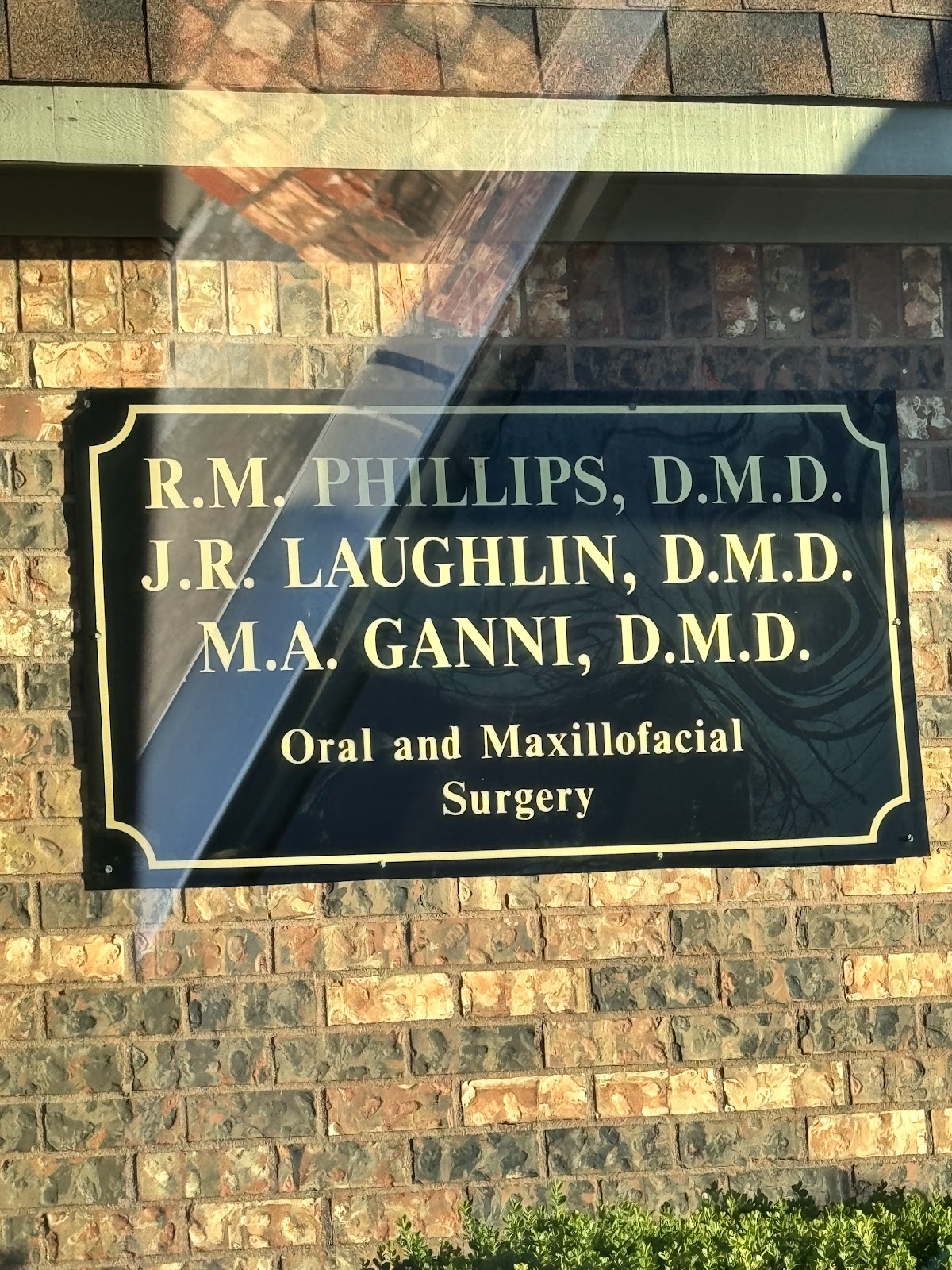 Ganni M A Dmd photo 3