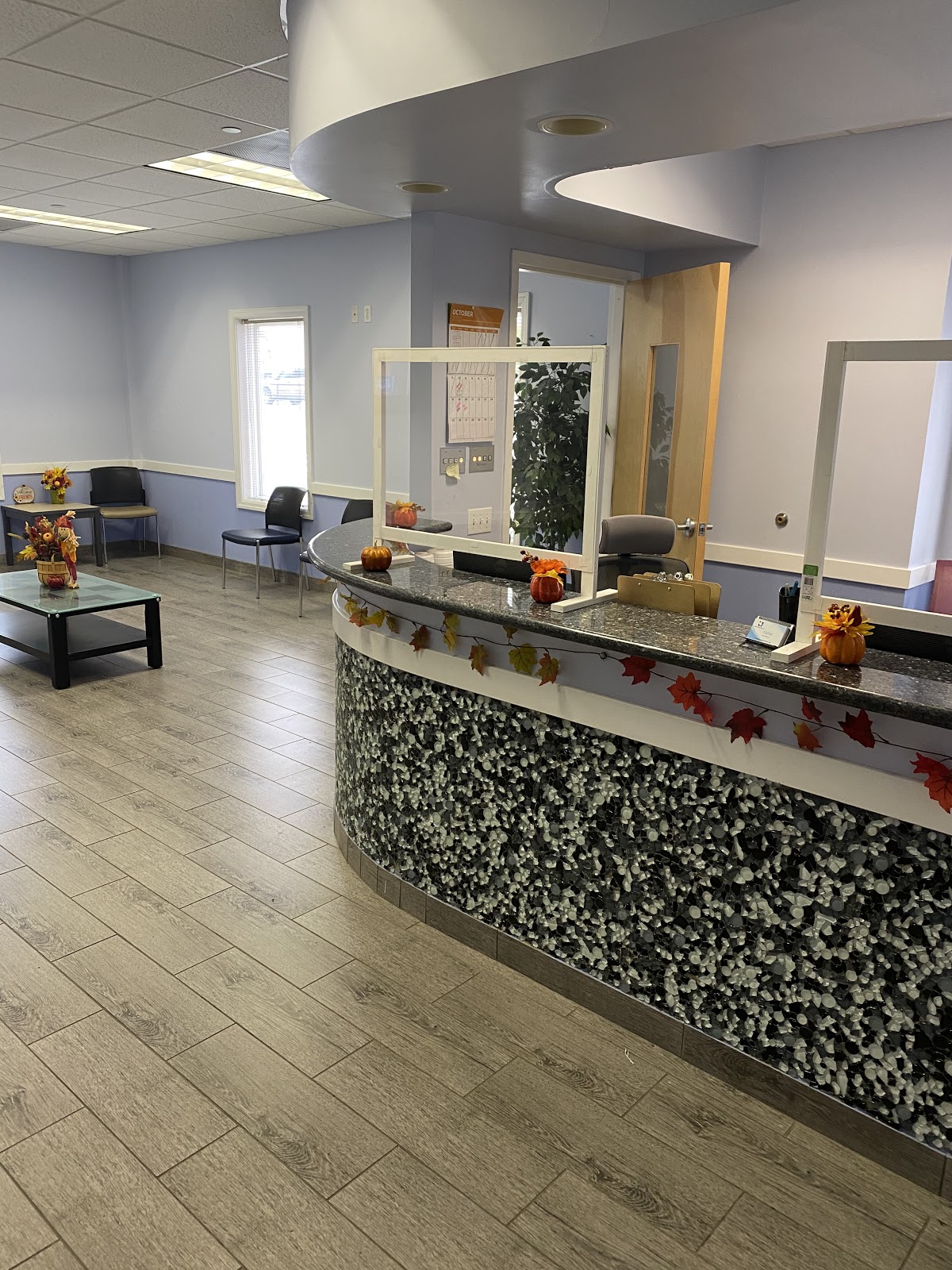 Lancaster Dental Arts photo 1