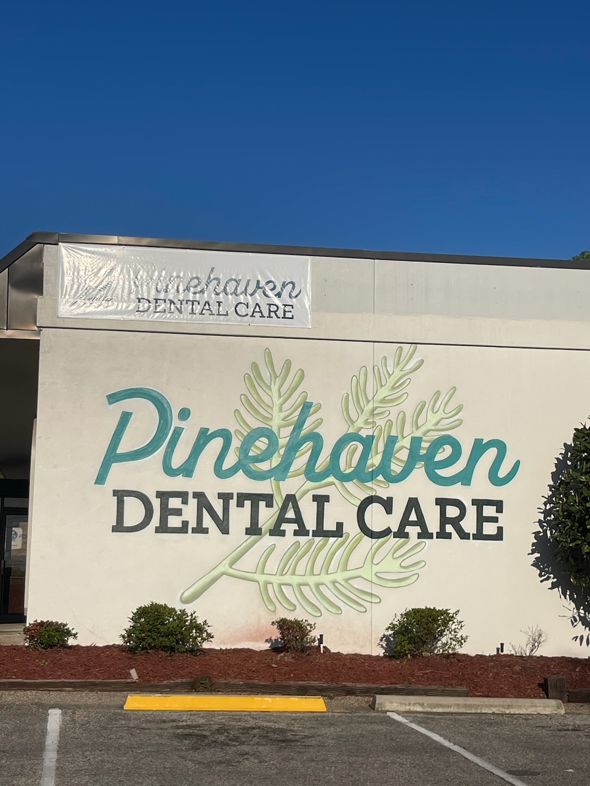 Pinehaven Dental Care photo 1