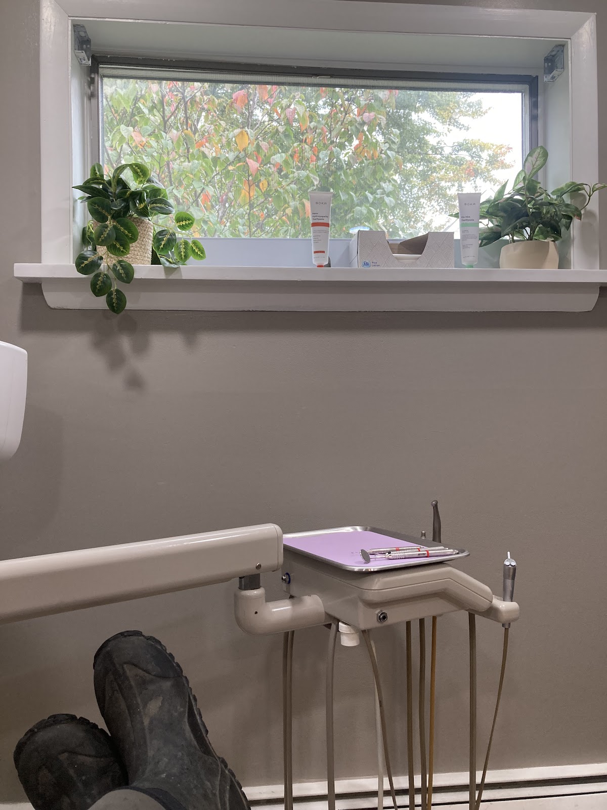 Integrative Oral Health photo 1