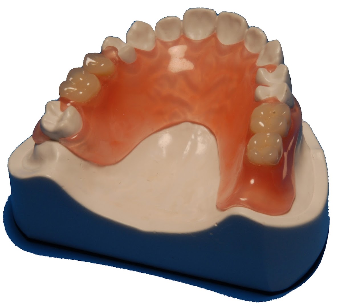 Gcdl/golden Ceramic Dental Lab photo 3