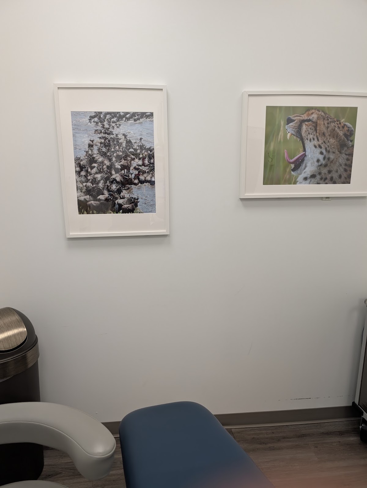Signature Periodontics & Implant Dentistry: Charlotte photo 5