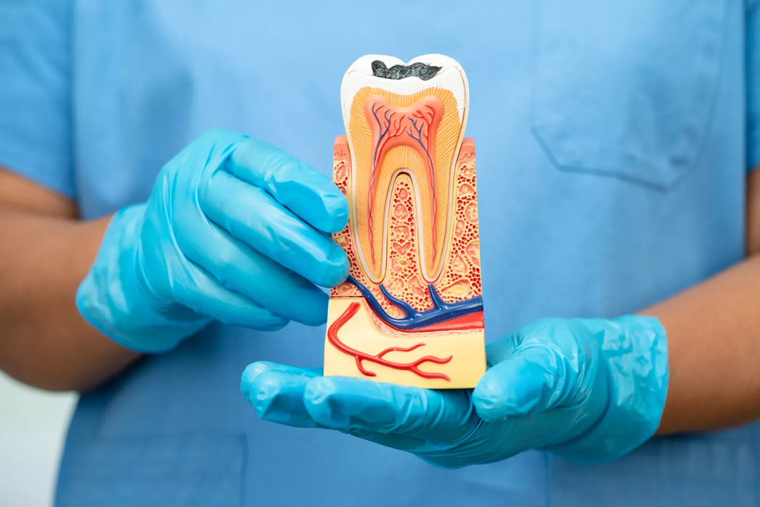 Foundation Dental Specialists photo 6