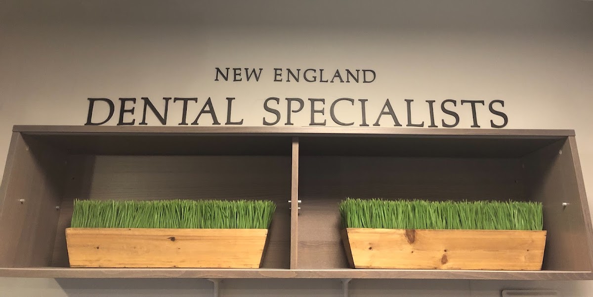 New England Dental Specialists photo 1