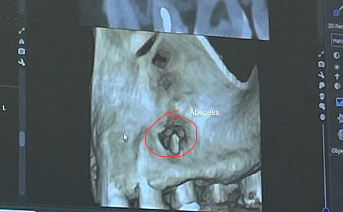 Southwest Center for Facial and Oral Surgery photo 1