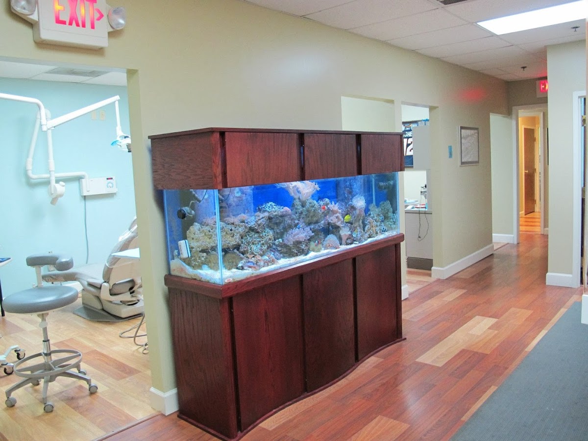 Dentistry by Design photo 5