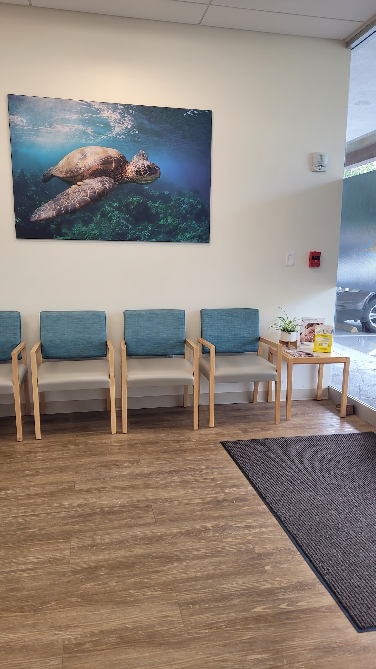 Kailua Dental Care photo 1