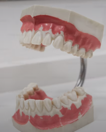 Twice as Nice Dental photo 1