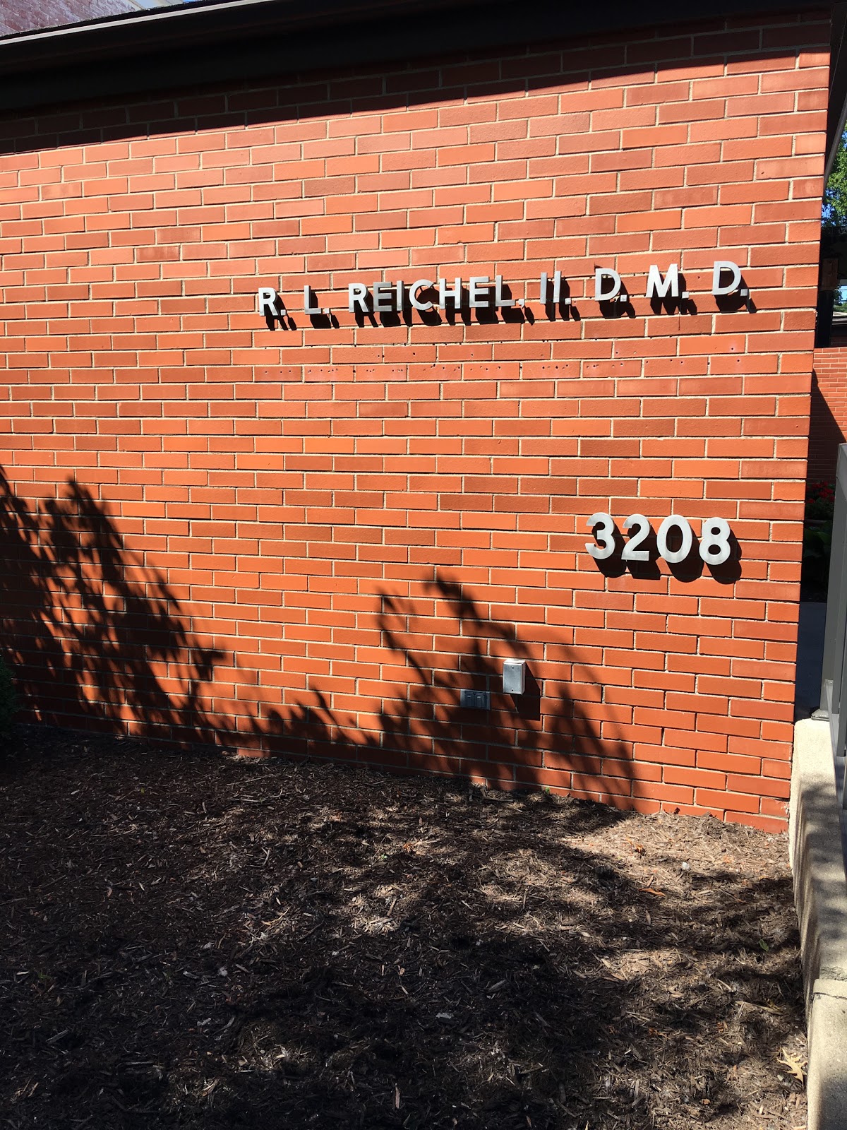 Reichel Dental photo 5
