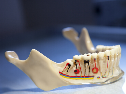 Reichel Dental photo 6