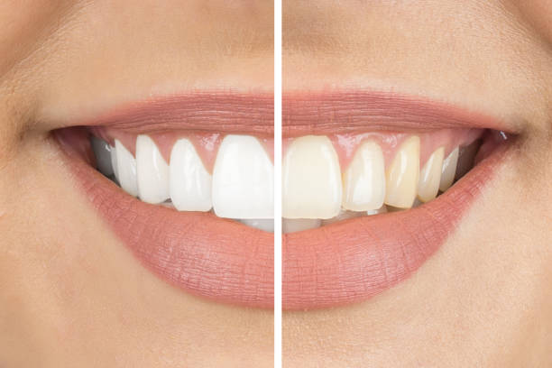 Jack Nagrani Dds photo 1