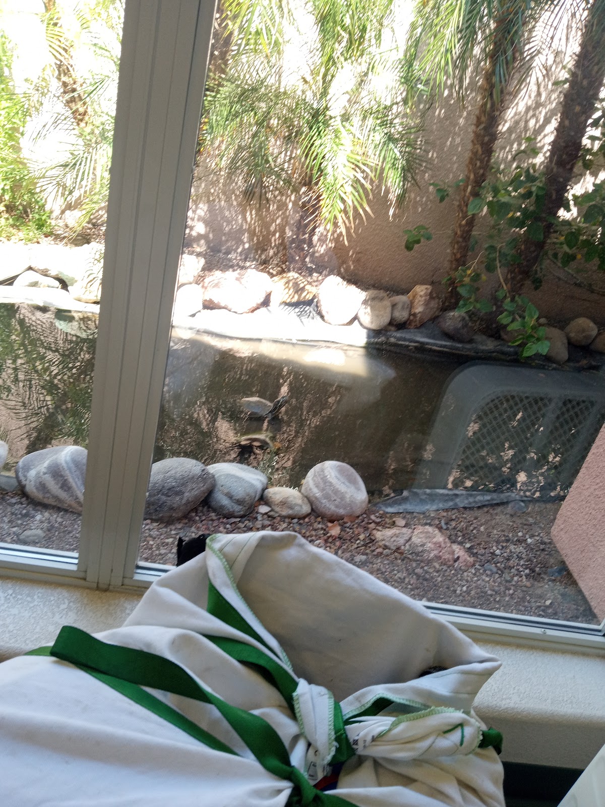 Bullhead City Dentistry photo 3