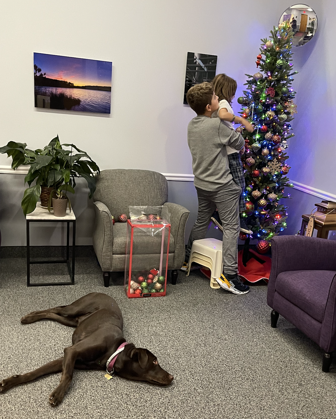 Nashua Riverfront Dentistry: Franklyn Liberatore, D.M.D. photo 2