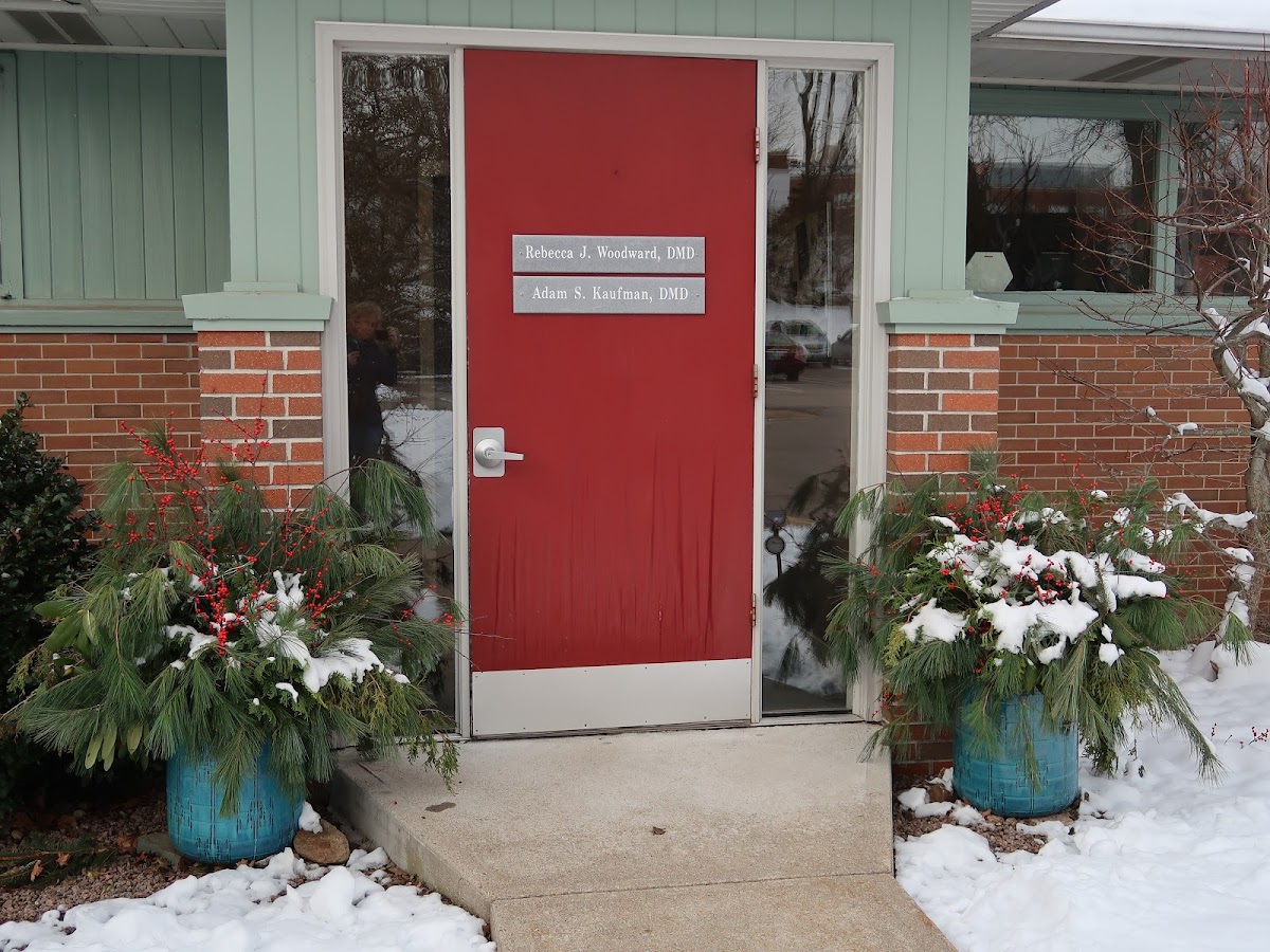 Wells Street Dental photo 5