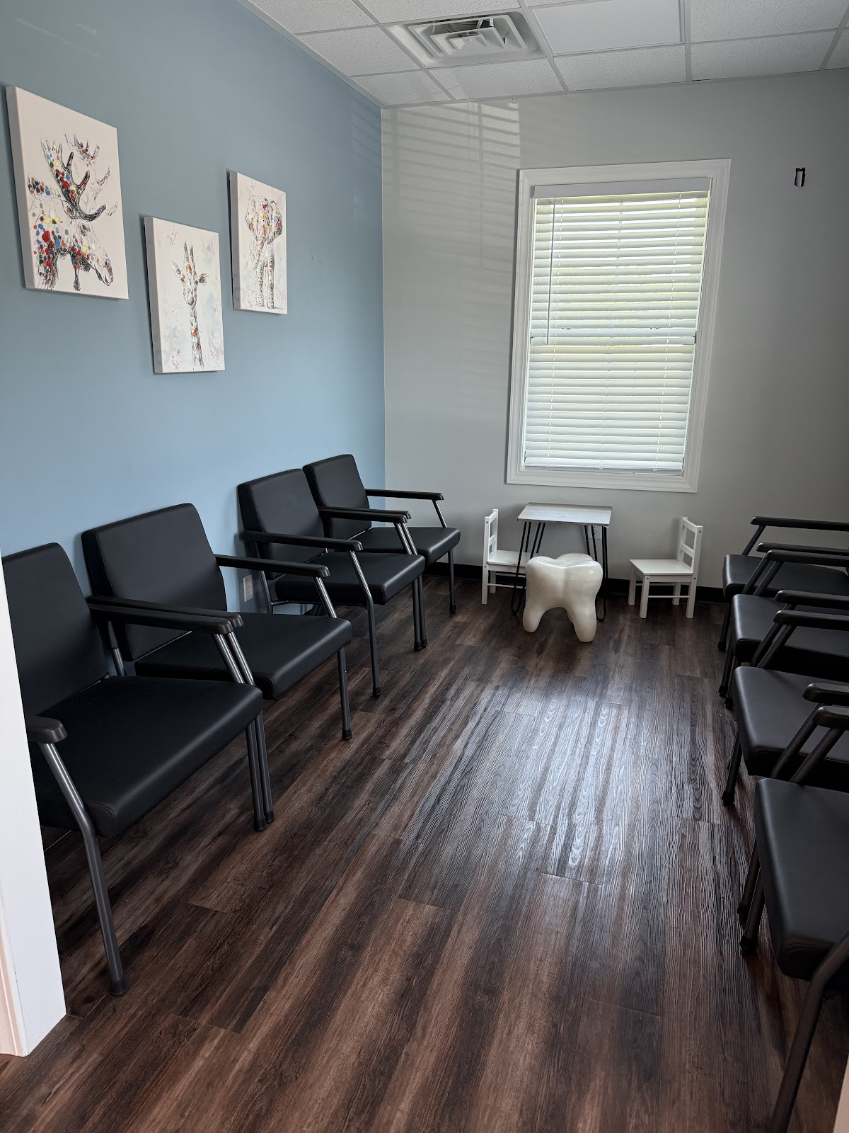 Denmark Dentistry photo 4