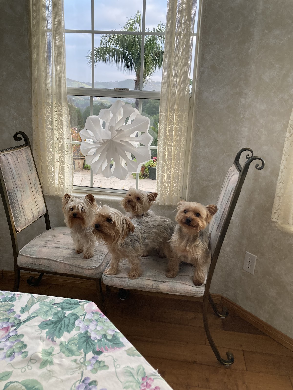 Larrondo Family Dentistry photo 6