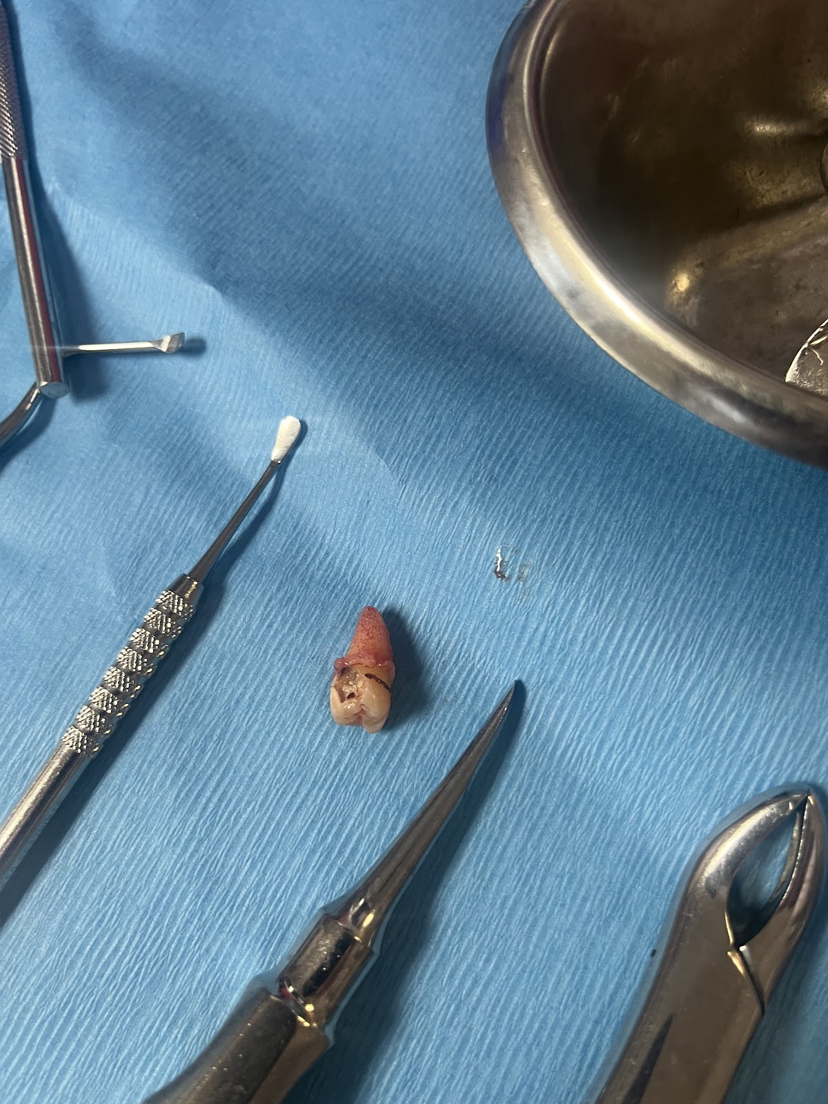 First Choice Dental Care photo 4
