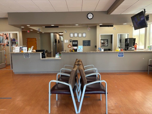 Brident Dental & Orthodontics photo 3
