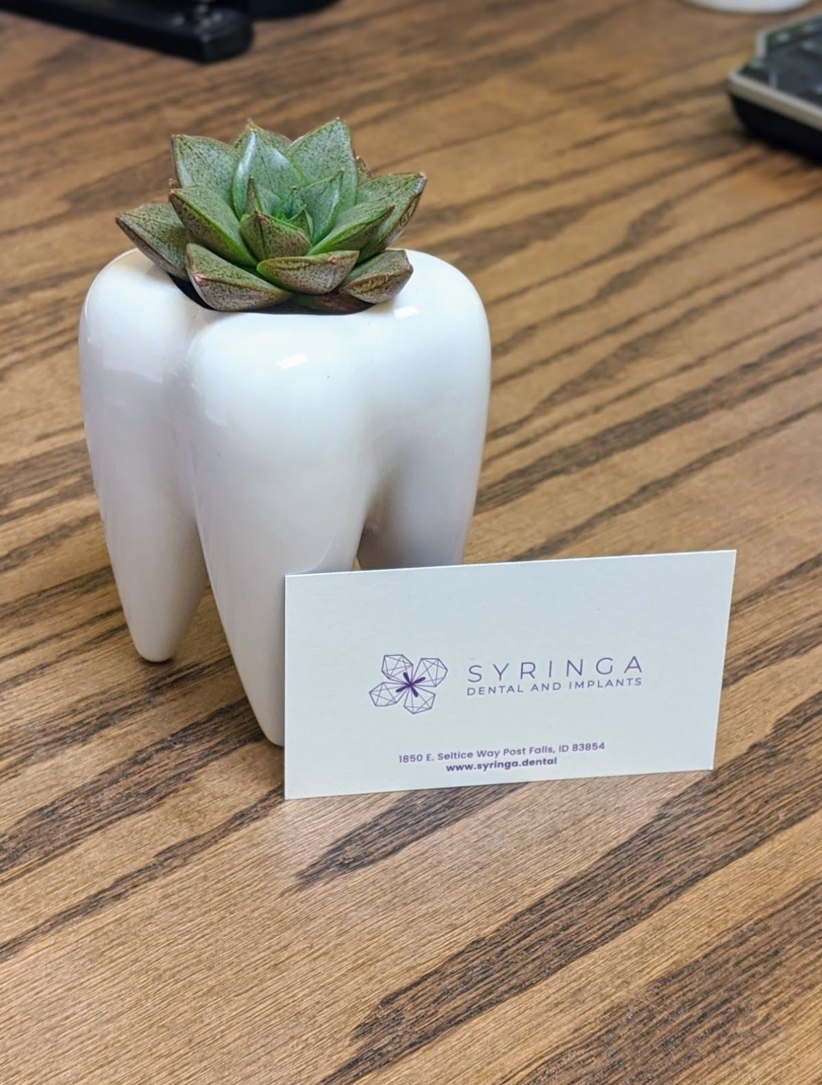 Syringa Dental and Implants photo 2