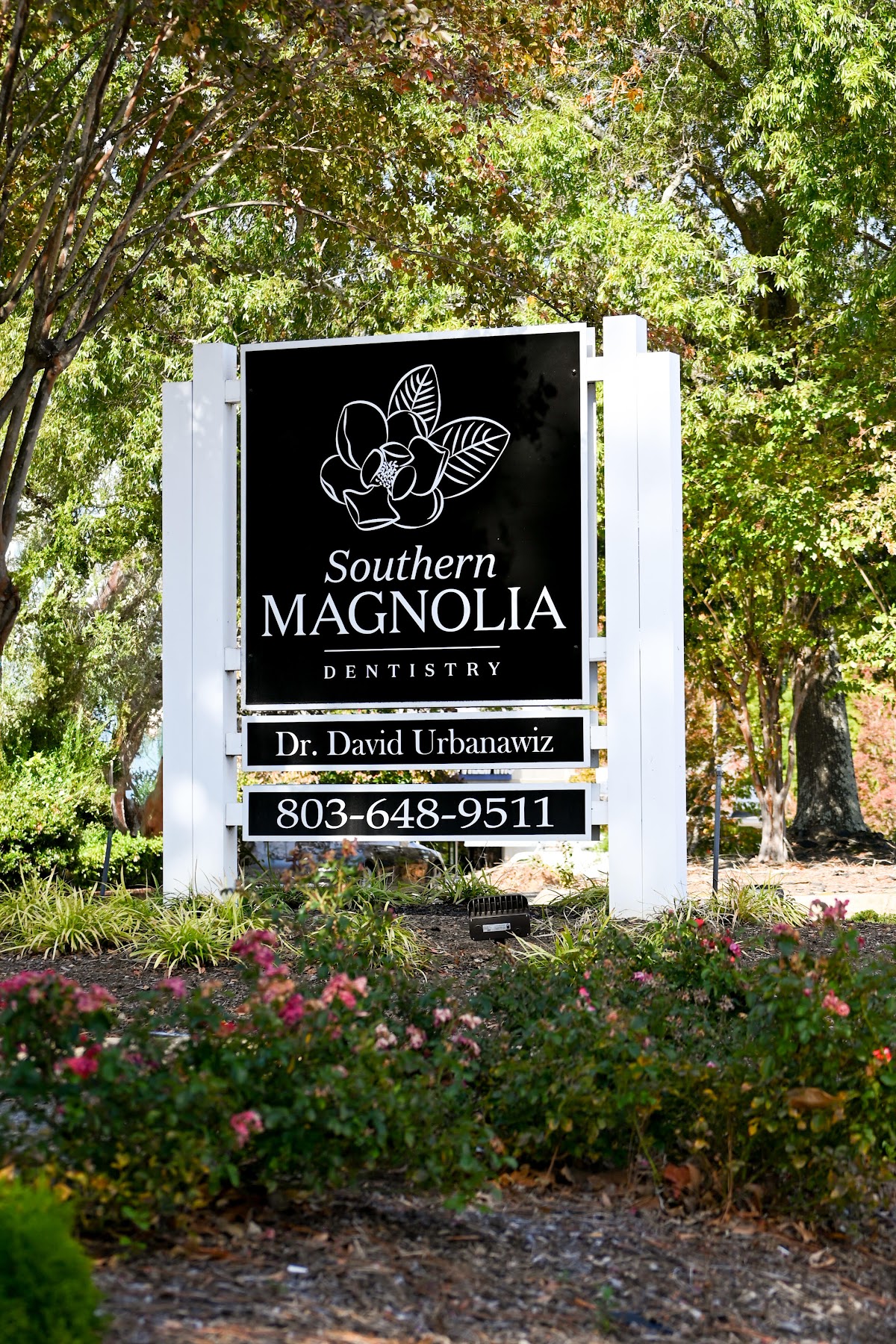 Southern Magnolia Dentistry photo 3
