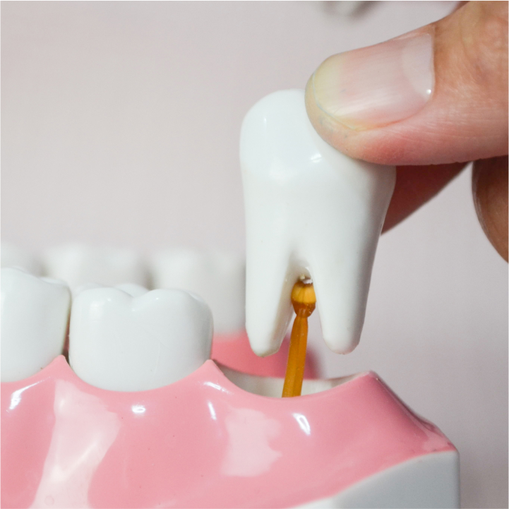 East Bay Dental - Dental Implants, Orthodontist Dentist photo 3
