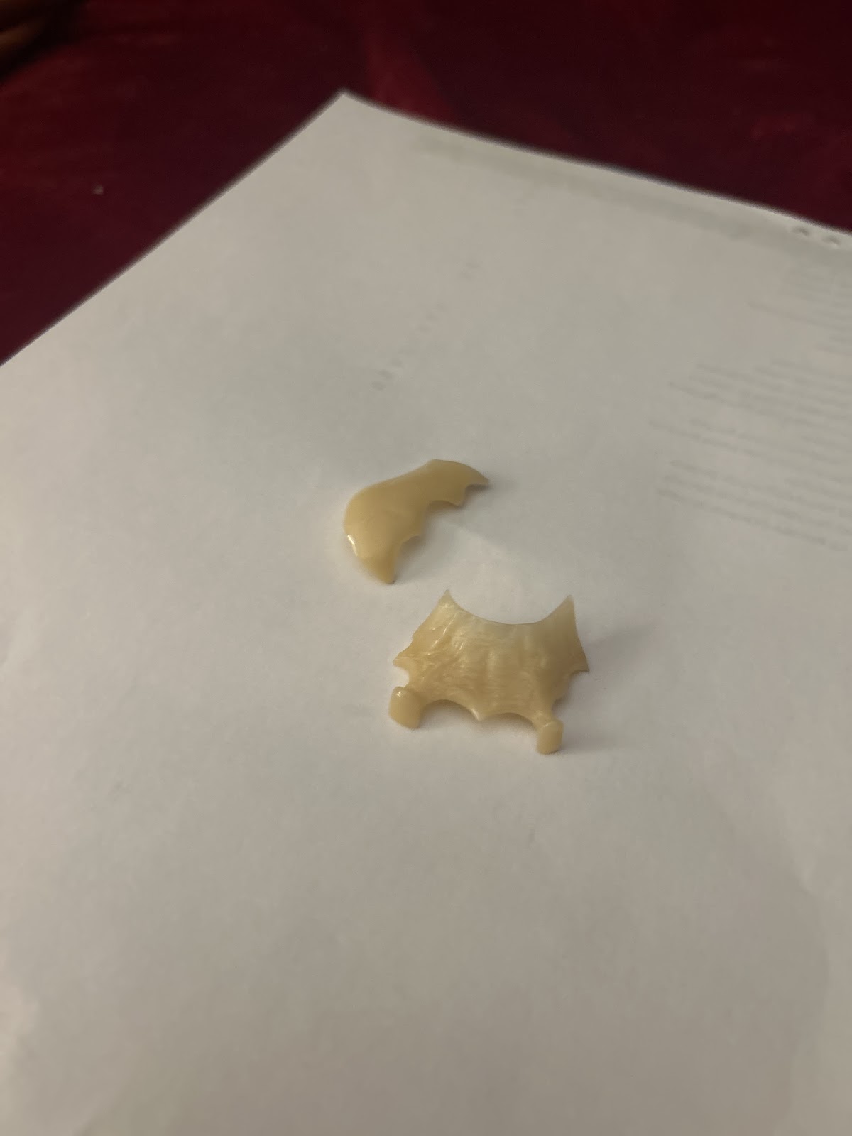 Aspen Dental - Albemarle photo 3