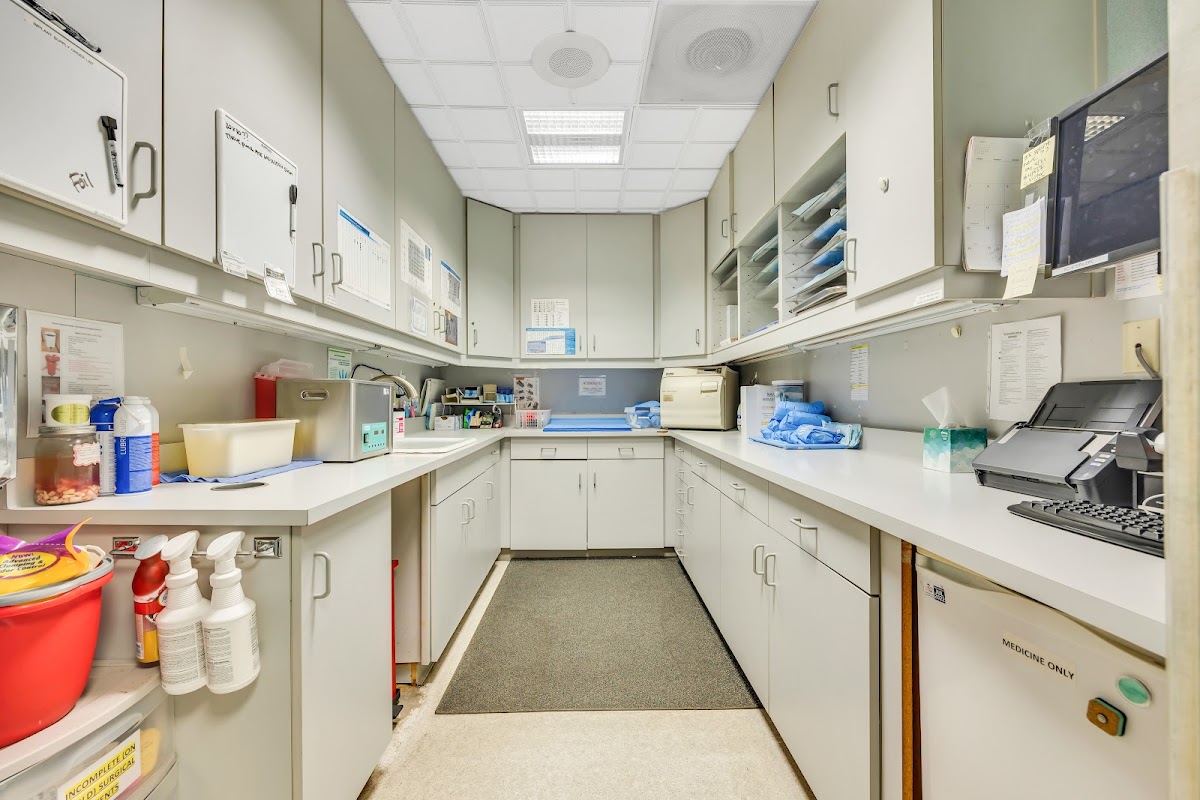 Prosthodontic Dental Group - Yuba City photo 4