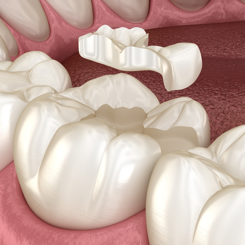 Paradise Dental Associates photo 4