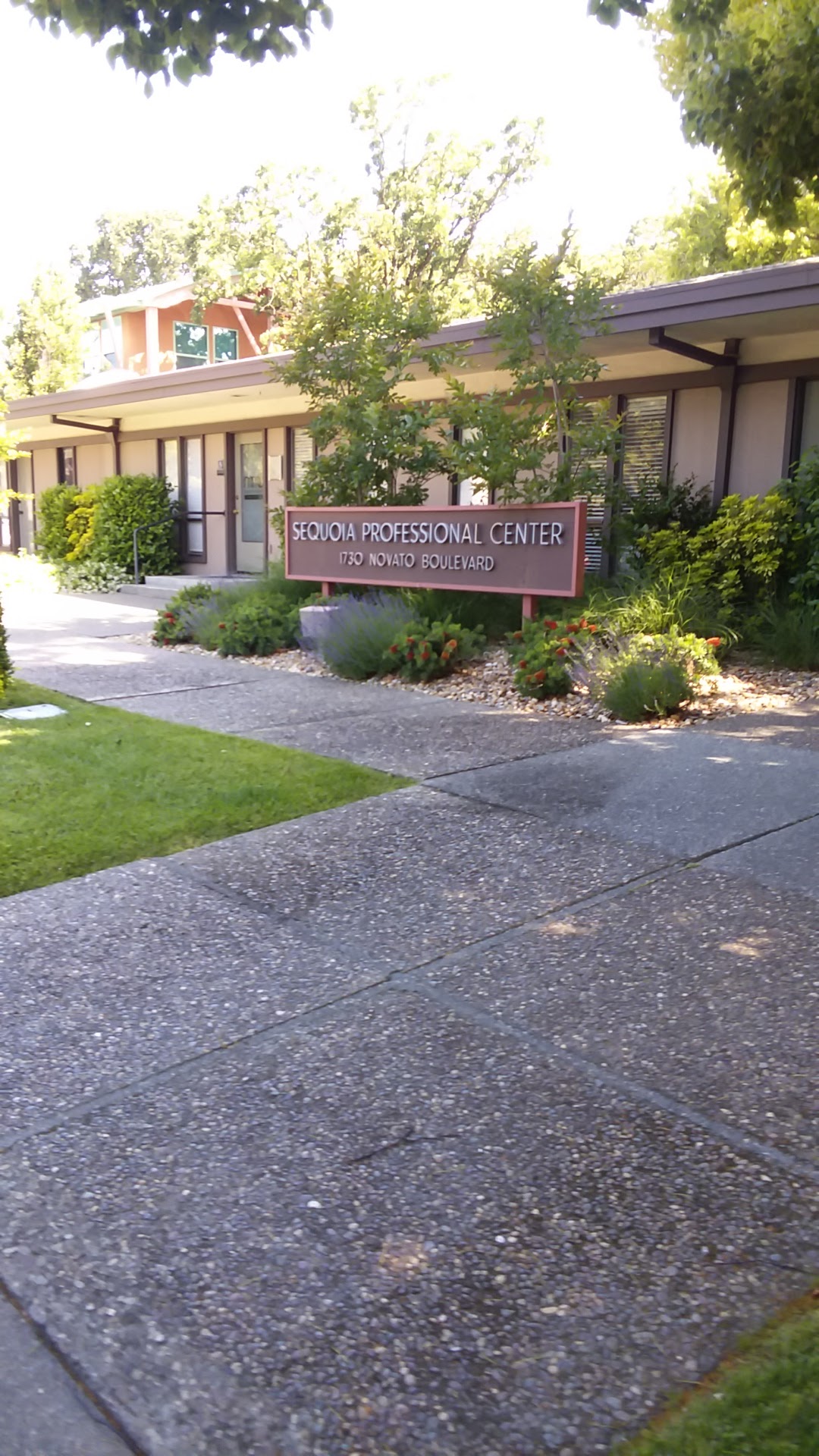 Marin Modern Dentistry photo 5