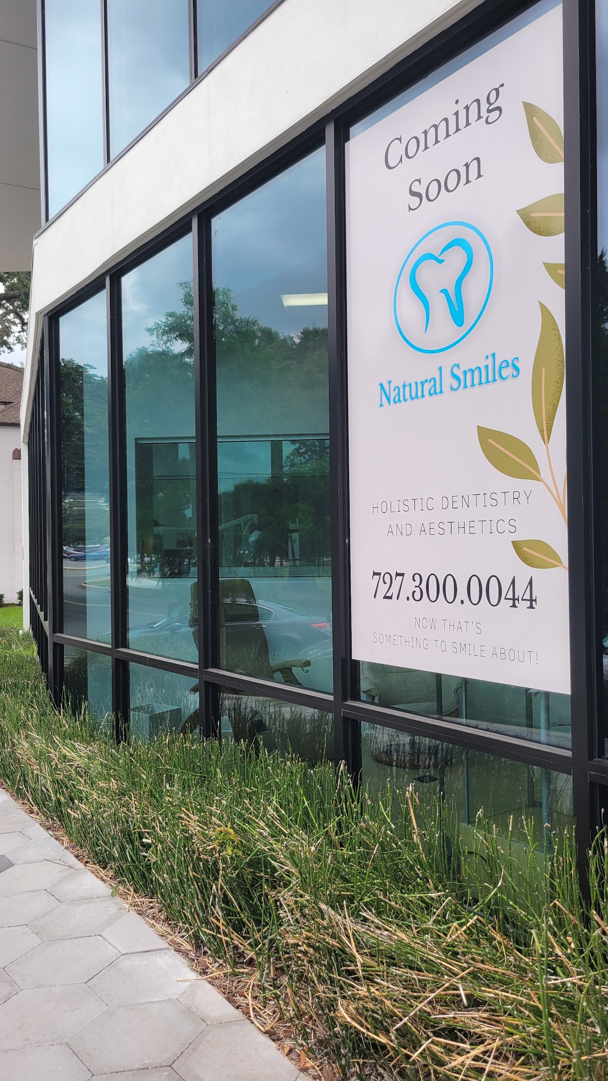 Natural Smiles of Tampa Bay photo 5