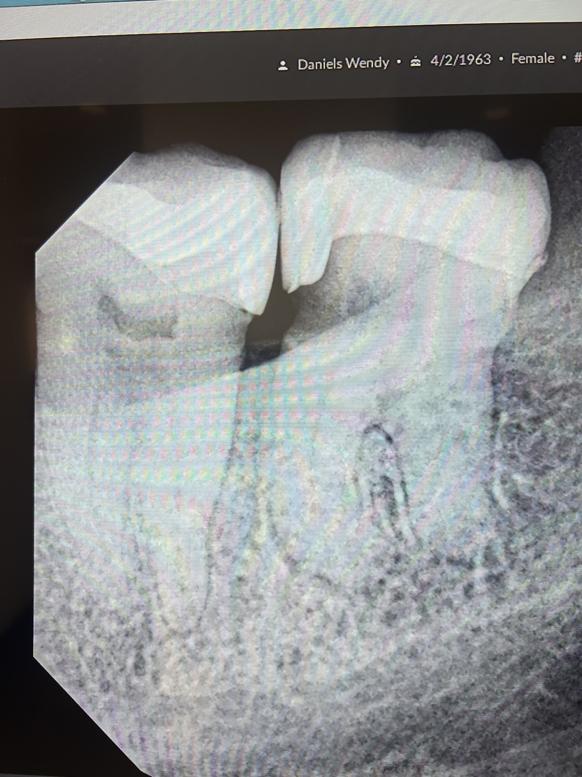 Fred Gaeta DDS, Fagd photo 2