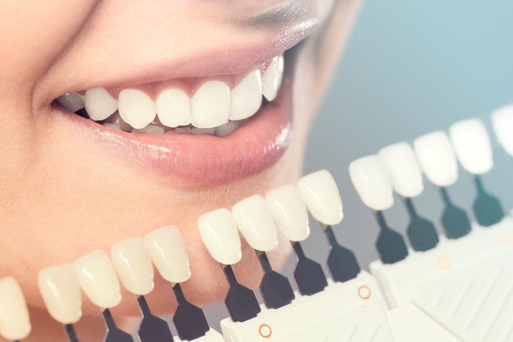 Contemporary Periodontics photo 1
