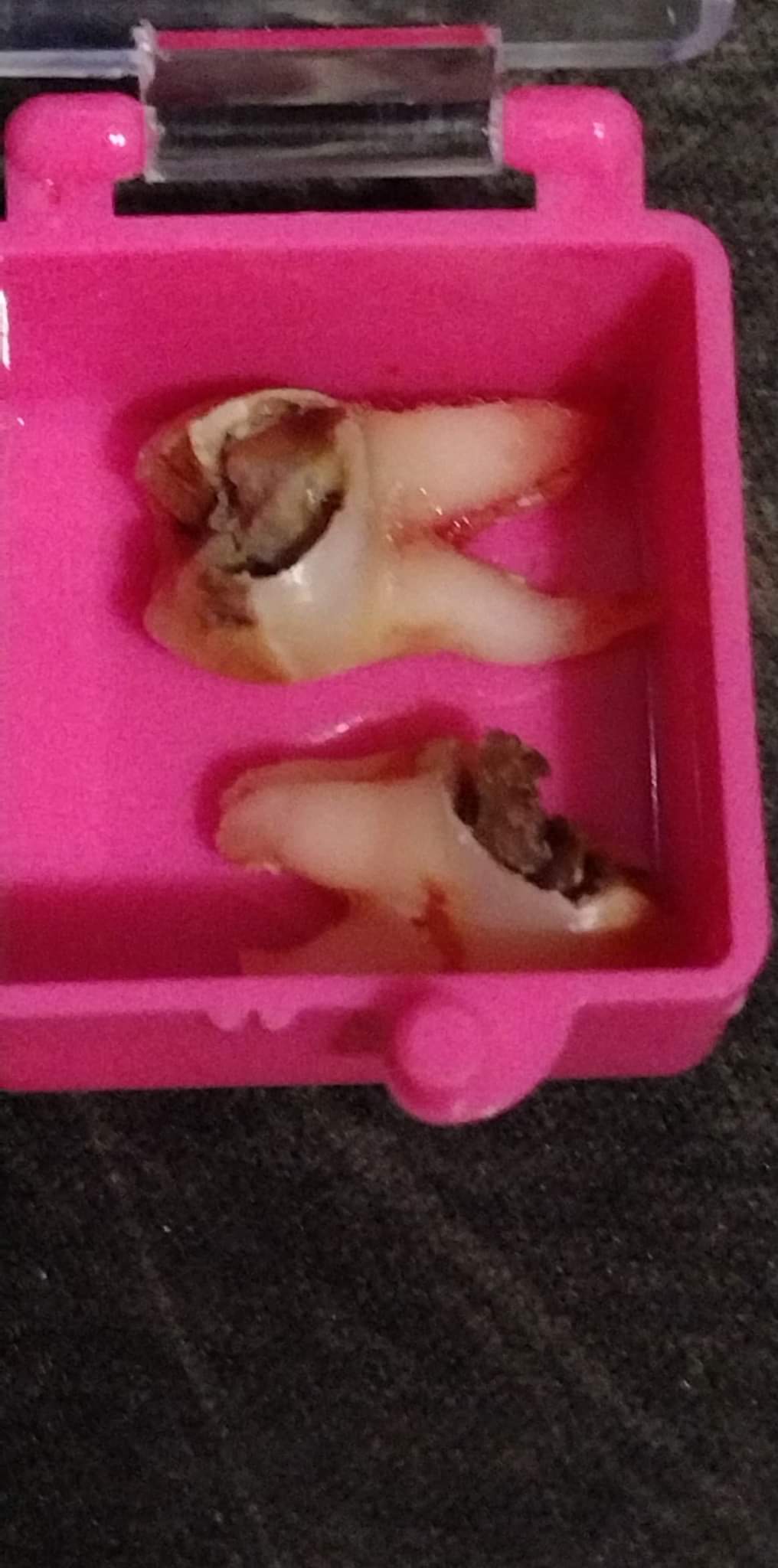 Duff Family Dental photo 3