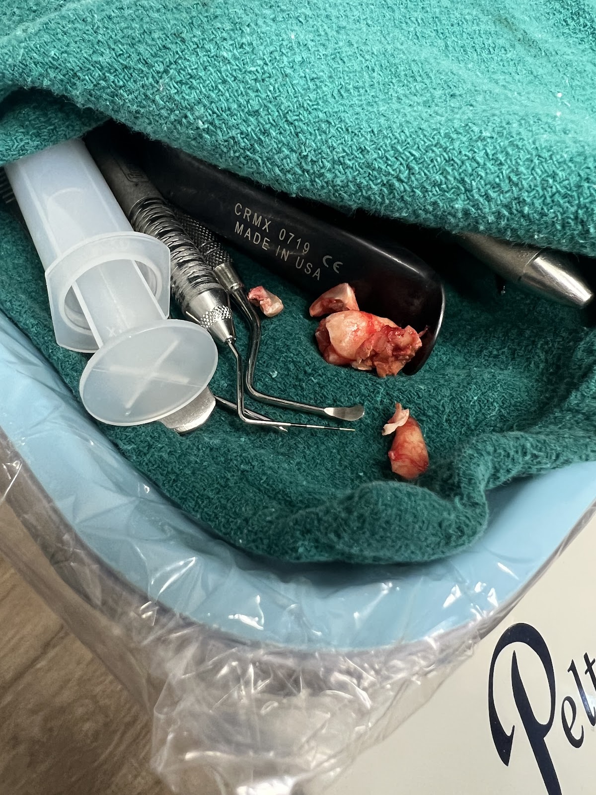 Gregory Dental photo 3