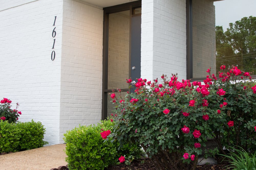 Auburn Opelika Dental photo 5