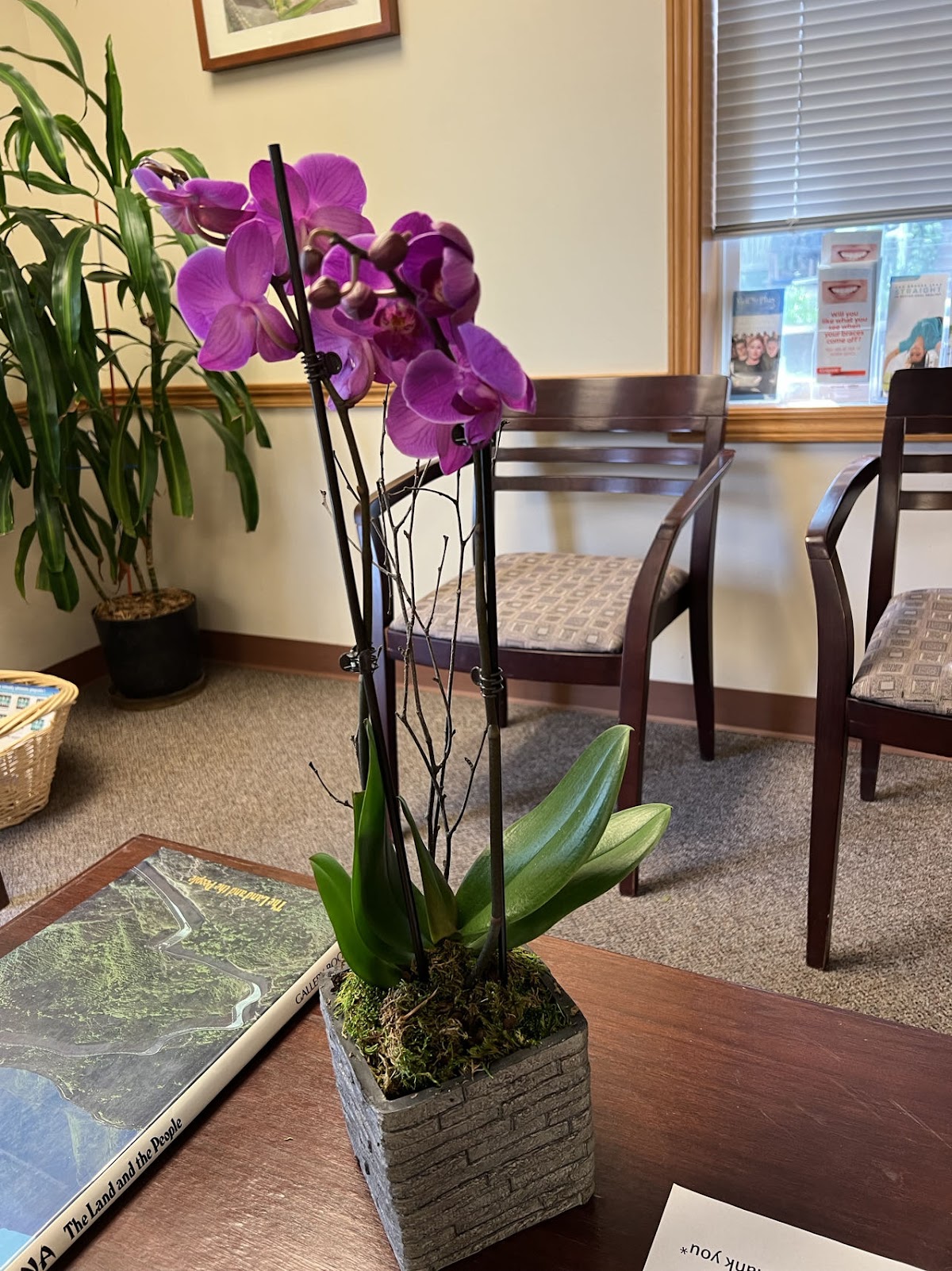 Better and Gentle Family Dentistry photo 5
