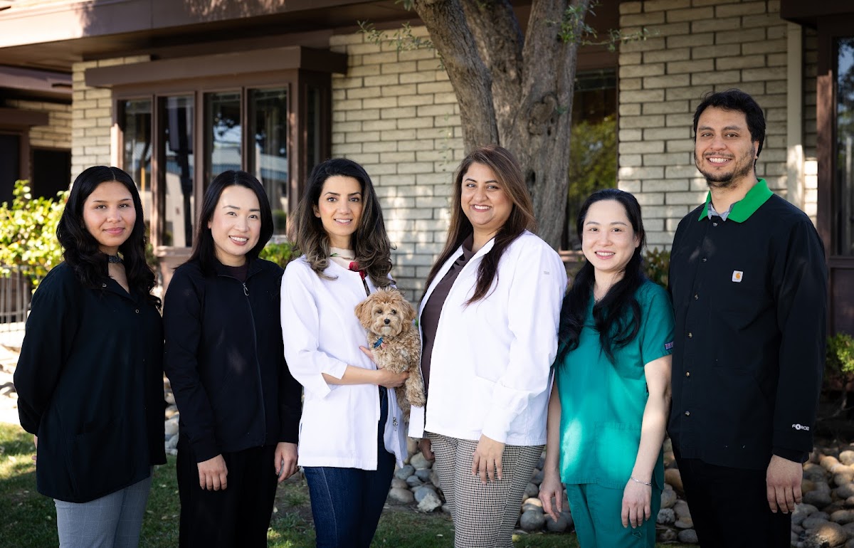 Bay Area Dental & Implant Center photo 1