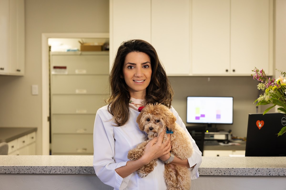 Bay Area Dental & Implant Center photo 2