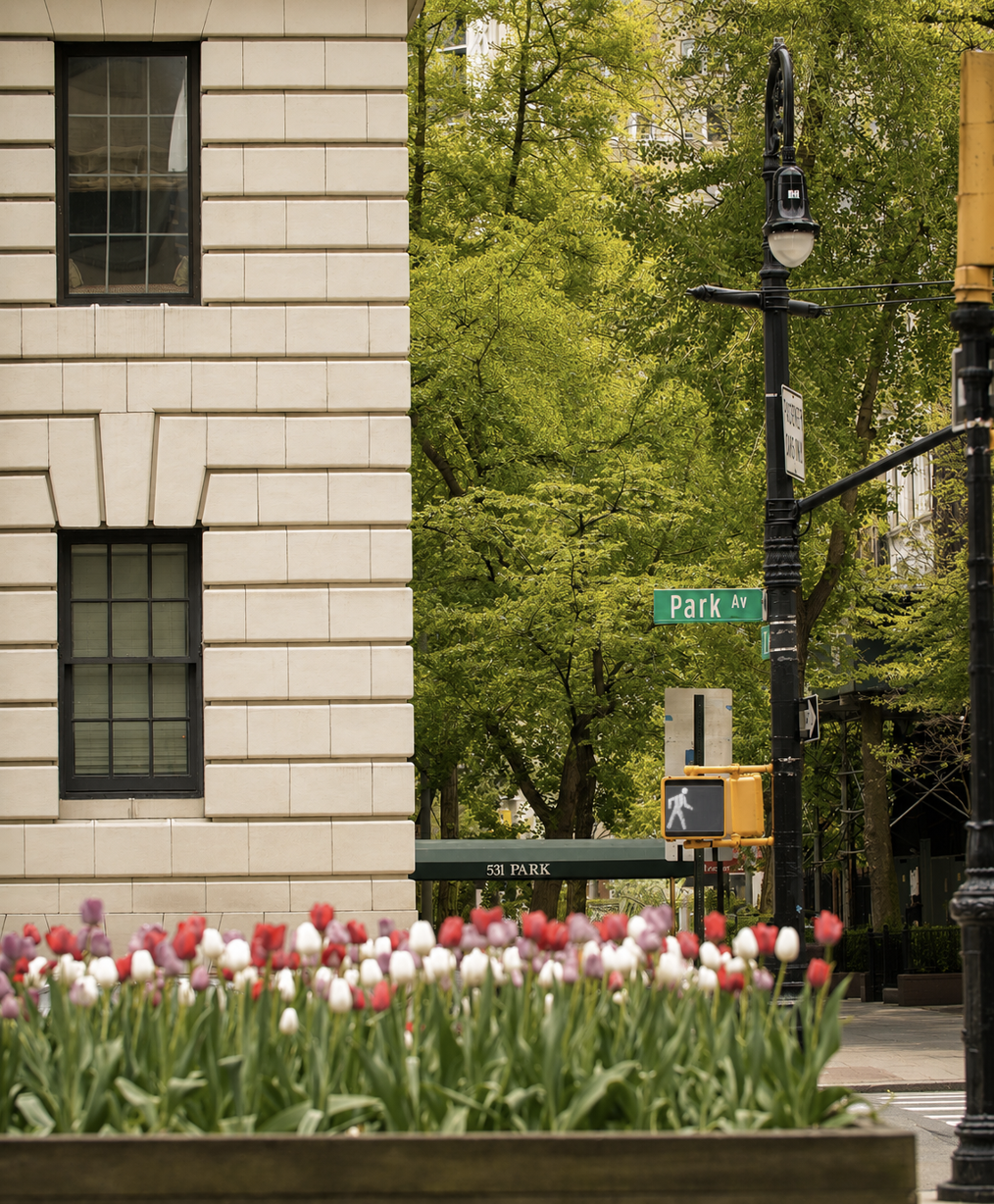 Park Avenue Oral Maxillofacial & Implant Surgery: James Choi, Md, DMD, Facs photo 2