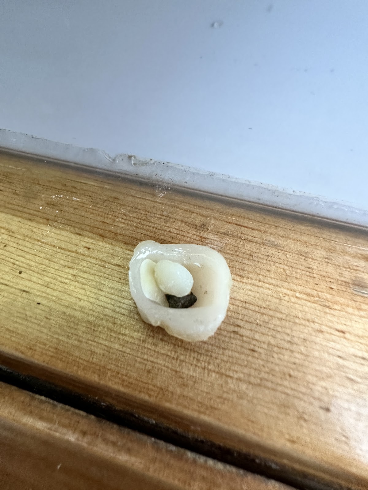 Blue Ridge Endodontics photo 3