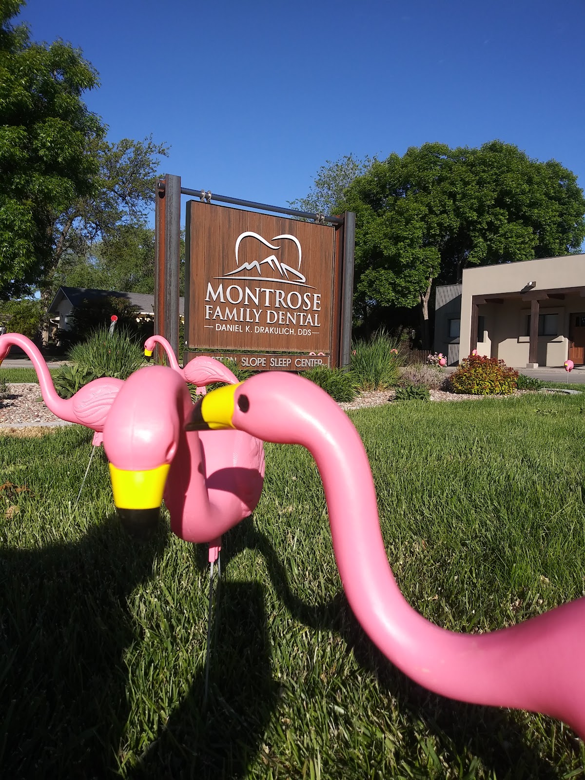 Montrose Family Dental - Daniel K. Drakulich, DDS photo 6