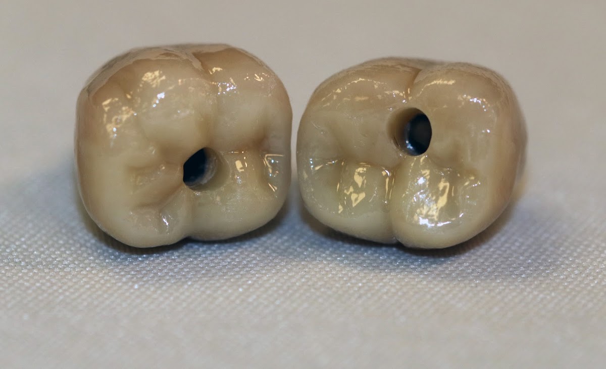 Prosmiles Dental Studio photo 4